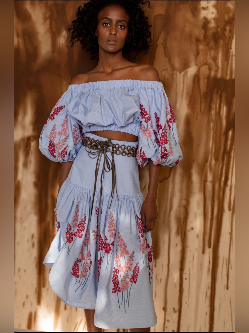 Silvia Tcherassi Powder Blue Midi Skirt & top with Red & Pink Floral Embroidery